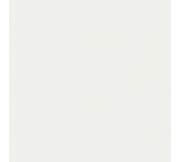 Paint white (RAL 9016) 1l