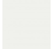 Paint white (RAL 9016) 1l