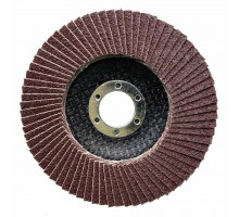 Petal end circle 125*22.23 t27 P*60 Novoabrasive Standard