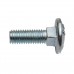 M10*30 Bolt 8.8 DIN 603, 216401