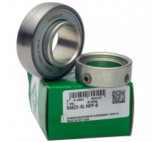 RAE25NPPB Bearing INA