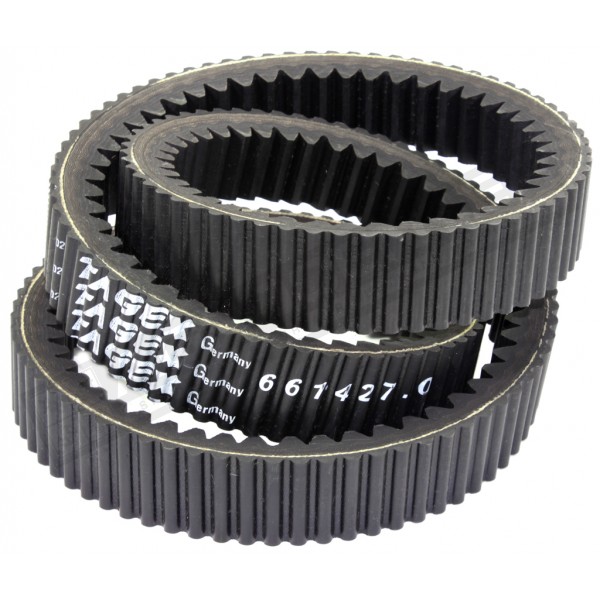 661427 Variator belt / ribbed [Claas] Tagex - 1