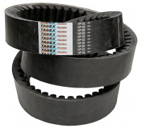744965.1 Пас Tagex, 744965