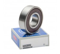 6202 DDUCM Bearing NSK