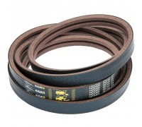 1423400 Пас багатоклиновий [Claas] Gates, 628888