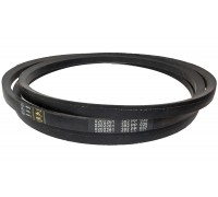 0202261 Belt Gates, H138762, H101436, 84022378