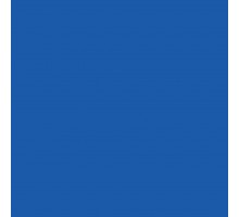 Paint for [New Holland] blue 1l