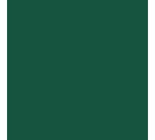 Paint for Kverneland green 1l