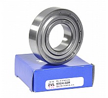 6004-2ZR Bearing ZVL