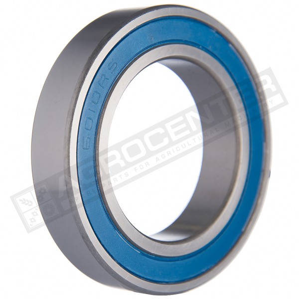 6010-2RS1 Bearing - 1