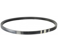 06211014 Belt Tagex