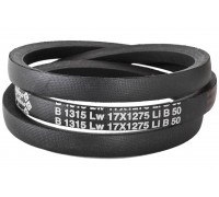 B17 1315Lw-1275Li Пас V-образный ( 300950 ) GUFERO