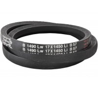 B17 1490Lw-1450Li Пас V-образный ( 300971 ) GUFERO