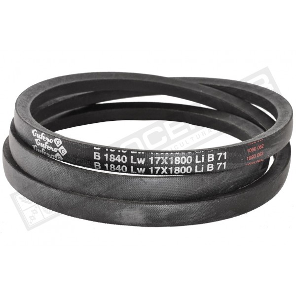 B17 1840Lw-1800Li Пас V-образный ( 301000 ) GUFERO