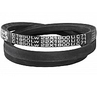 C22 1850Lw-1800Li Пас V-образный ( 301485 ) GUFERO