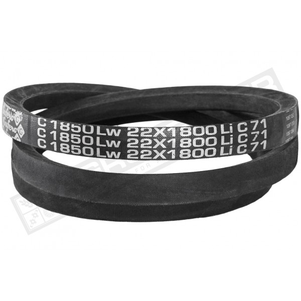 C22 1850Lw-1800Li Пас V-подібний ( 301485 ) GUFERO