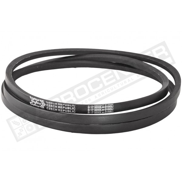 B17 3200Lw-3160Li Пас V-образный ( 301086 ) GUFERO