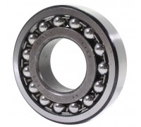 1309 Bearing ZKL