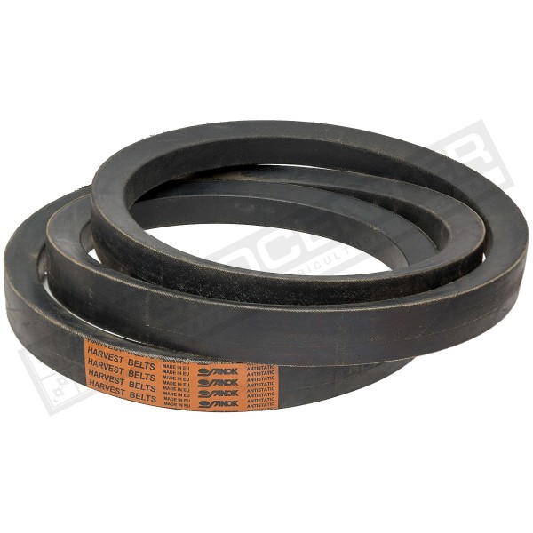 D41981200 Belt HARVEST BELTS [Massey Ferguson] - 1