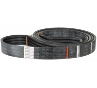 549099.0 Ремень Tagex, 549099