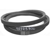 D41985300 Belt Tagex