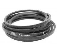 D41987500 Belt Tagex