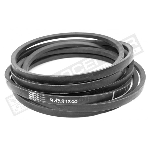 D41987500 Пас Tagex - 1