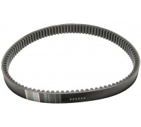 Z65924 Belt Tagex