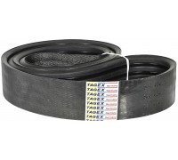644404.1 Belt Tagex, 644404