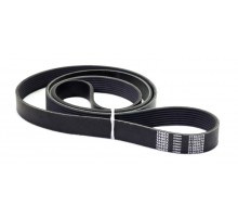 31302076  Belt Tagex
