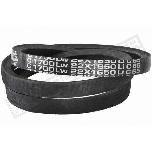 C22 1700Lw-1650Li Пас V-подібний ( 301481 ) GUFERO
