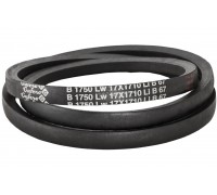 B17 1750Lw-1710Li Belt V-type ( 300993 ) GUFERO