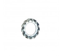 M6 Serrated Washer DIN 6798