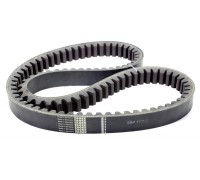 554172.0 Belt Tagex [Claas], 554172