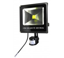LN0003-2 Прожектор світлодіодний 30W PIR ( холодне світло ) KAMAR