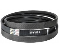 554269.0 Belt Tagex [Claas], 554269