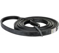 D41978900 Belt Tagex