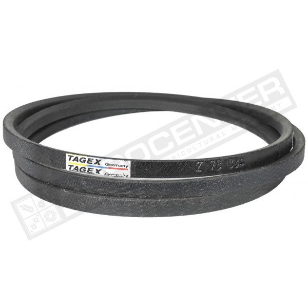 Z78834 Пас Tagex - 1