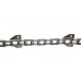 16063151 Roller chain [Deutz-Fahr] Tagex - 2