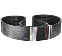 667881.0 Belt Tagex [Claas], 667881