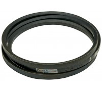 31333804 Belt Tagex [Case]