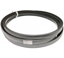 340433539 Belt Tagex