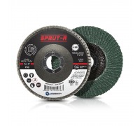 125*22 Petal end circle (P80) (A,N) T27 Sprut-A