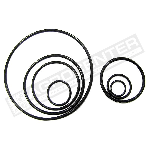 105*4.6 O-ring