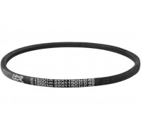 C22 1200Lw-1150Li Пас V-образный ( 301459 ) GUFERO