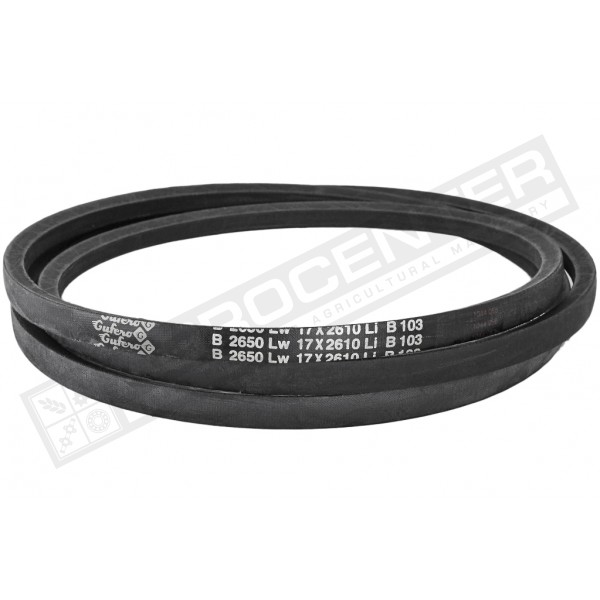 B17 2650Lw-2610Li Пас V-образный ( 301059 ) GUFERO - 1