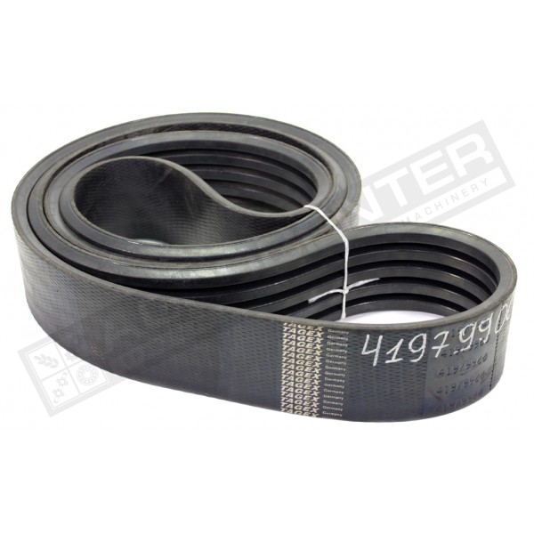 D41979900 Пас Tagex - 1