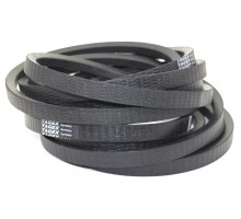 D41982300 Belt Tagex