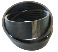 D41990064 Belt Tagex