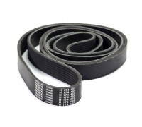 H174455 Belt Tagex